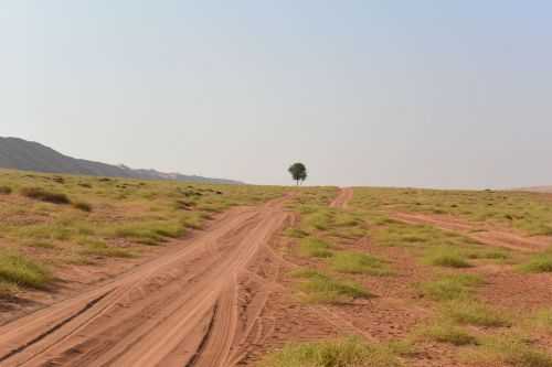 OMAN DESERT MARATHON | 165K 2016